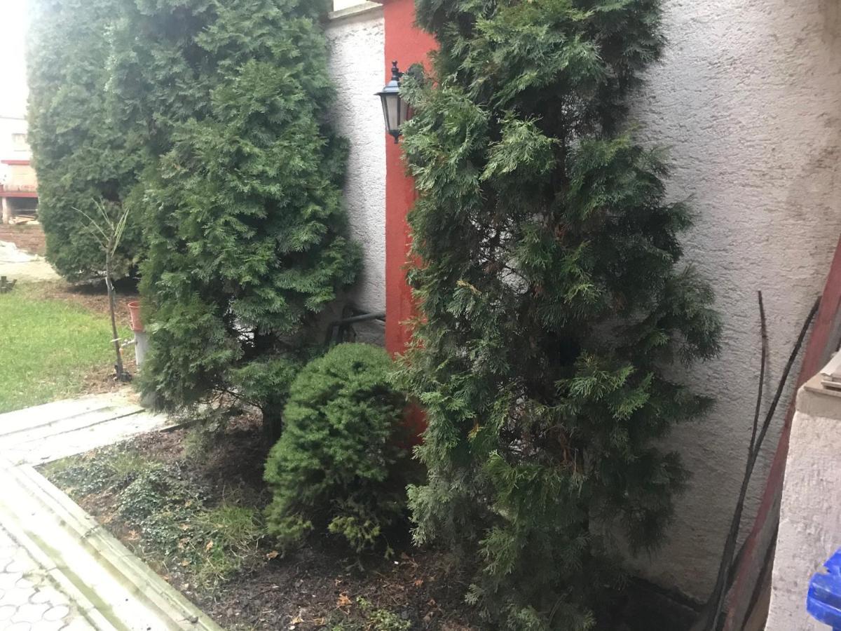 apartmán jeruzalemská Trnava Esterno foto